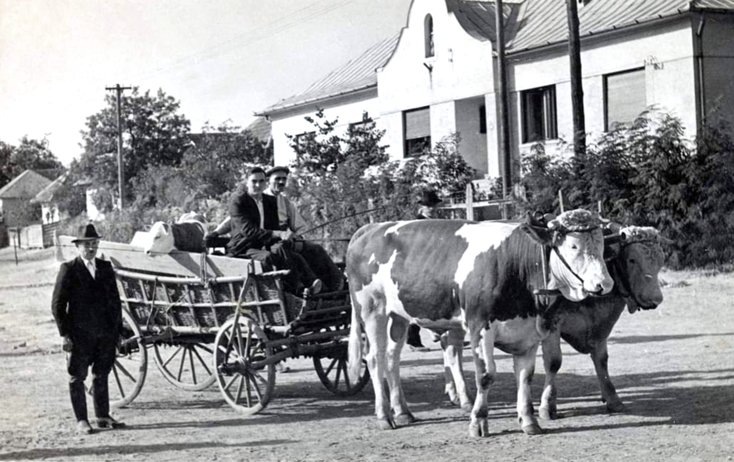 nagyolved-kozseghaza-szekerrel