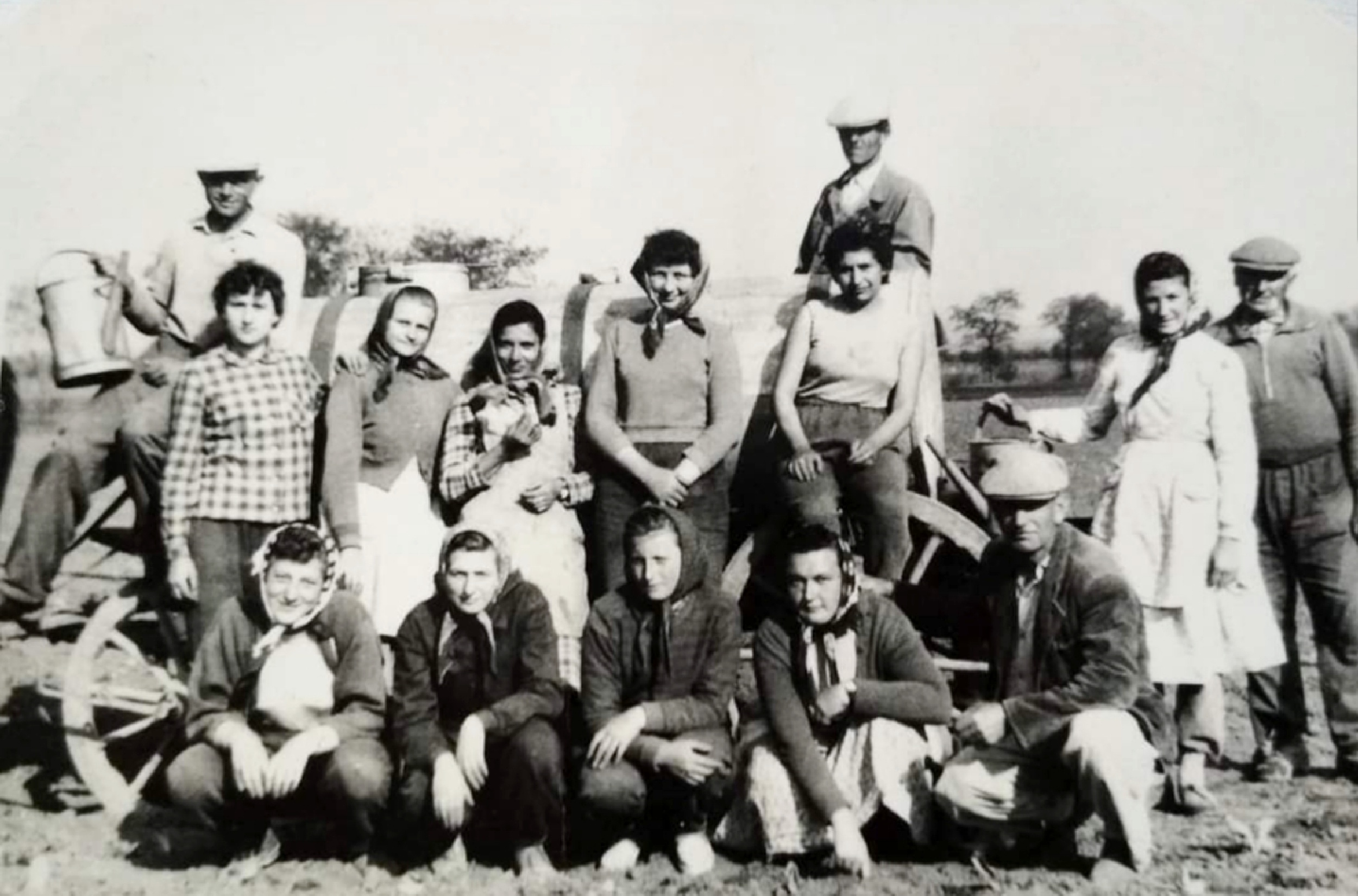 nagyolved-ultetés-jrd-2