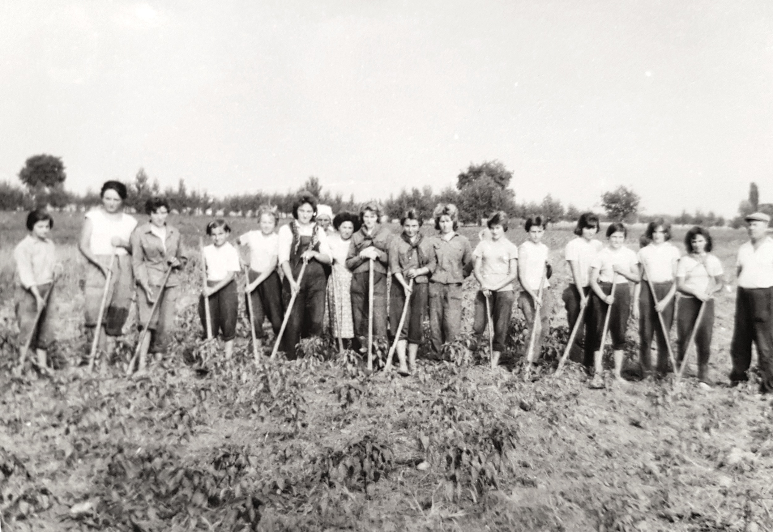 csenke-MikocziJozsef-szovetkezet-alakulasa (2)