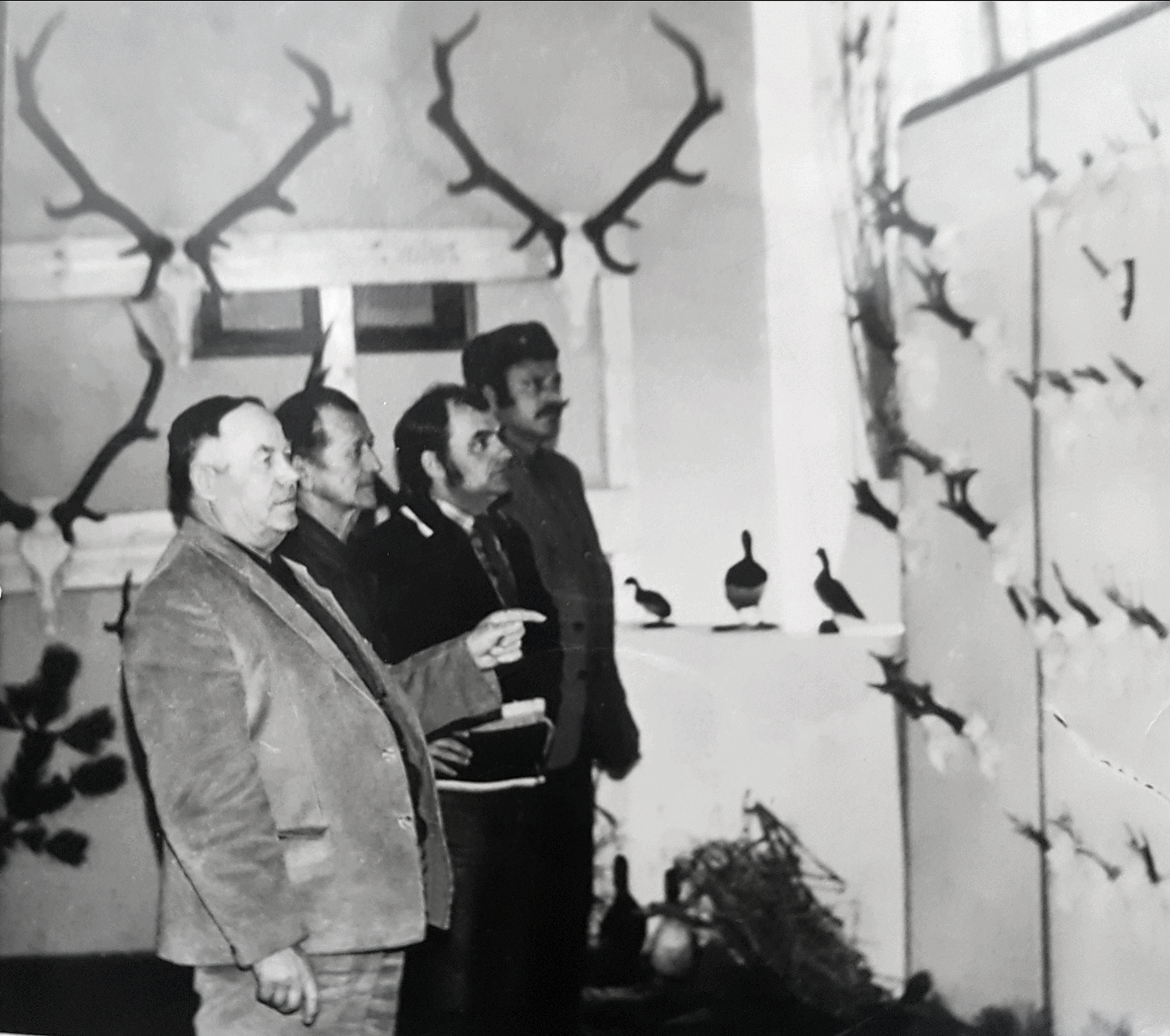 csenke-vadasz-kiallitas