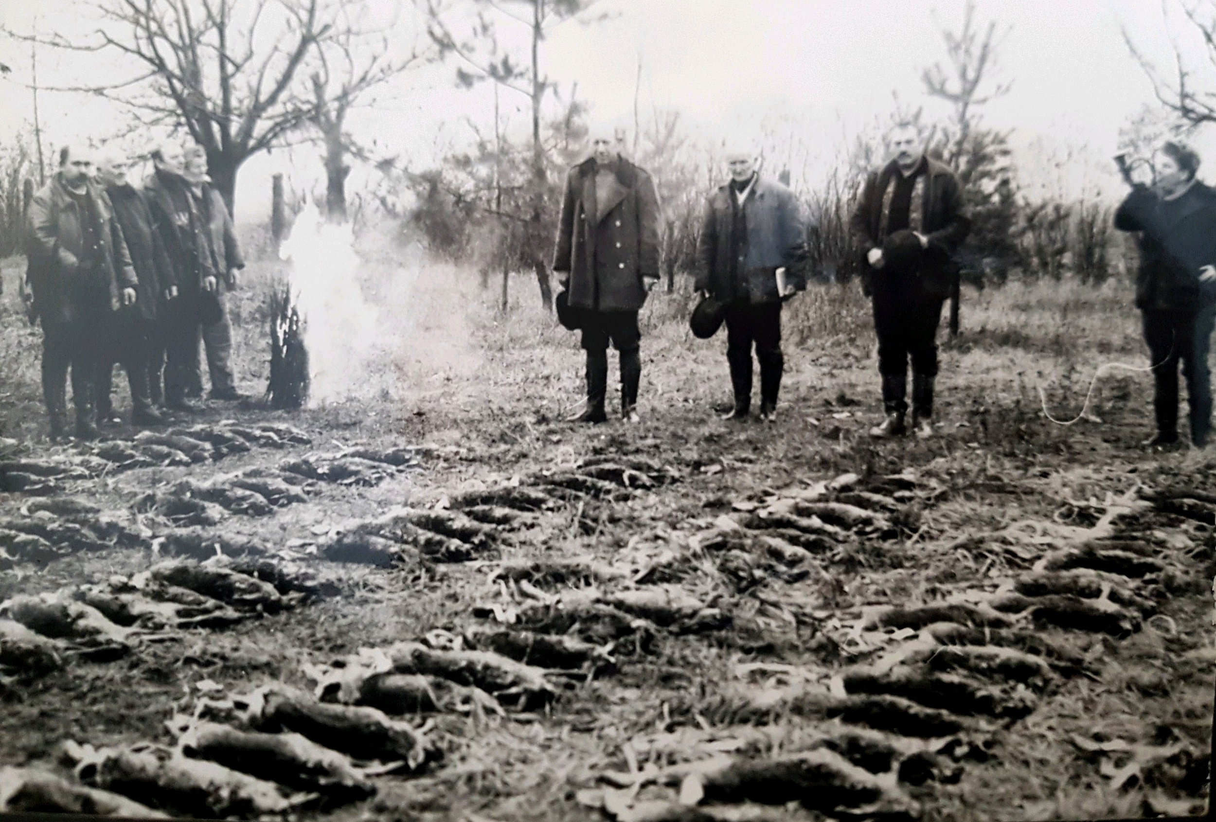 csenke-teritek-a-vadaszat-vegen