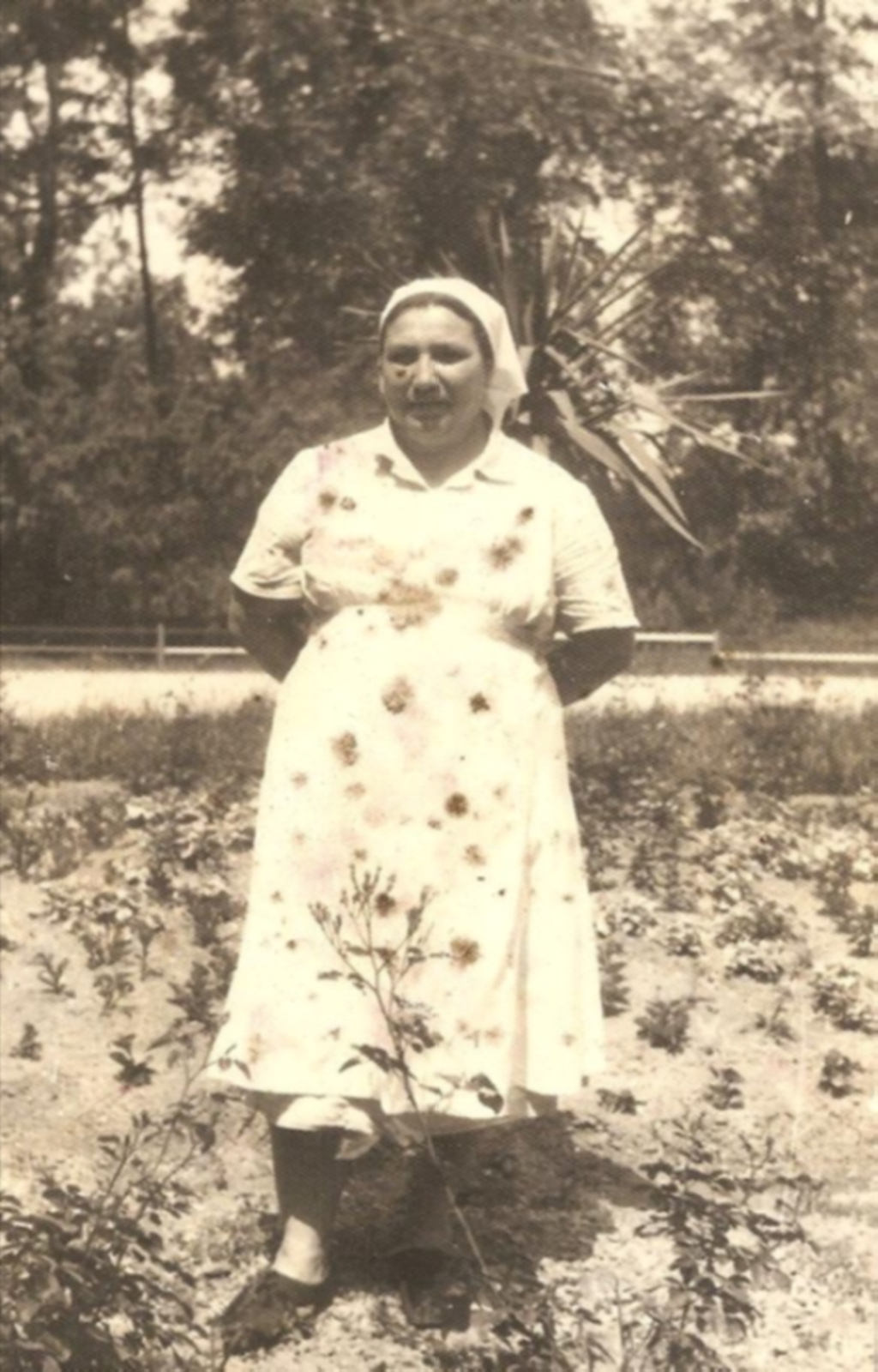 Képesi Andrássy Júlianna