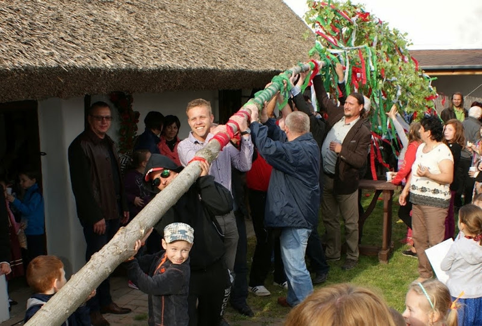 nagymegyeri-majusfa-allitas