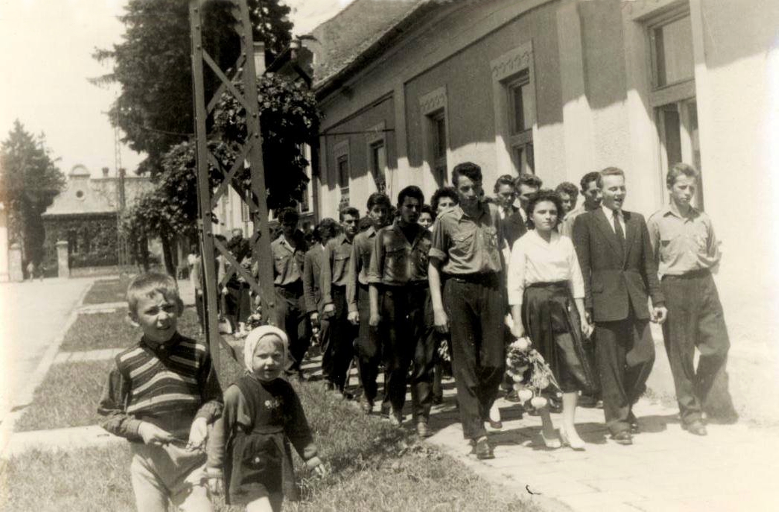 nemesradnot-ballagas-91a