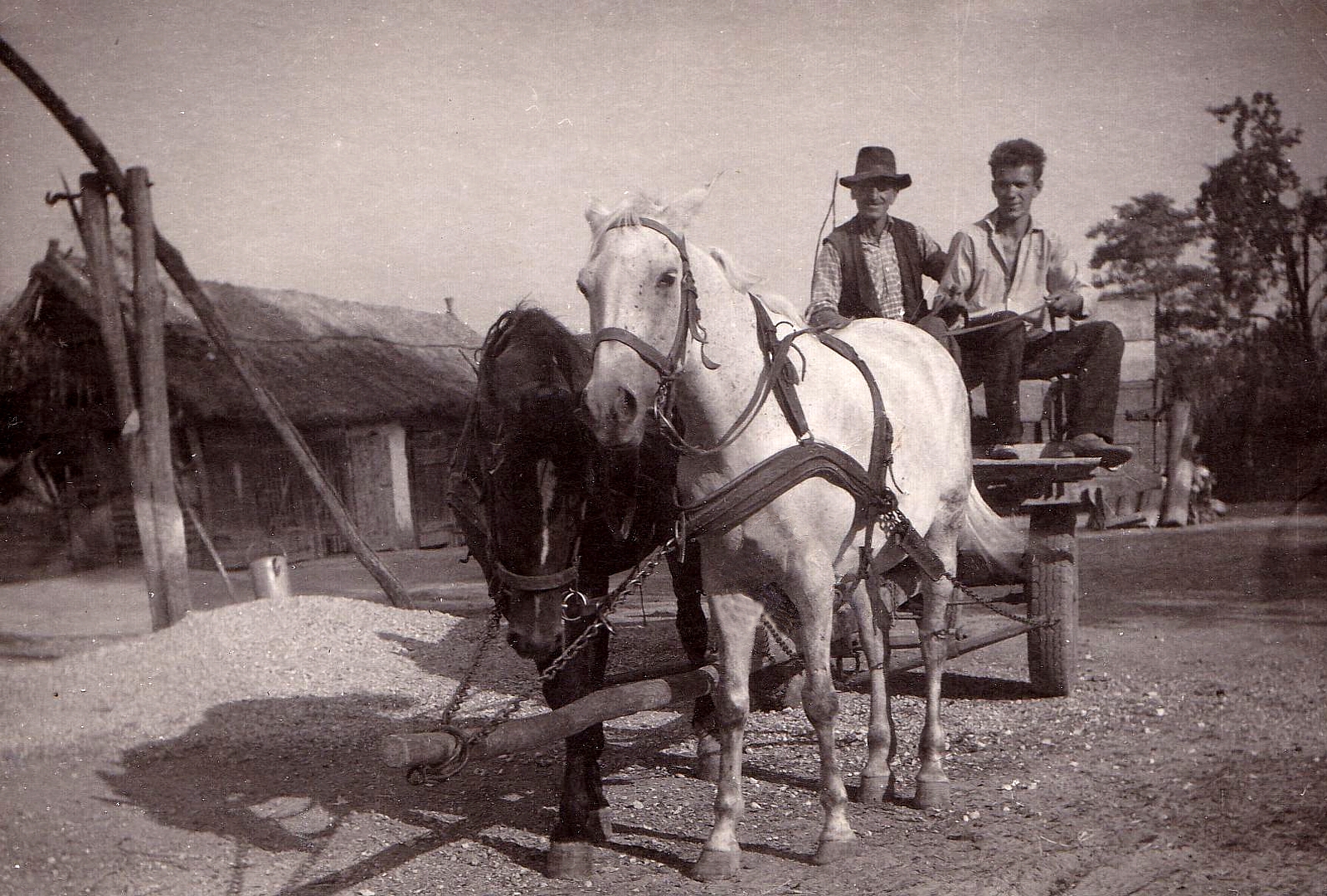 csicsoi-parasztudvar