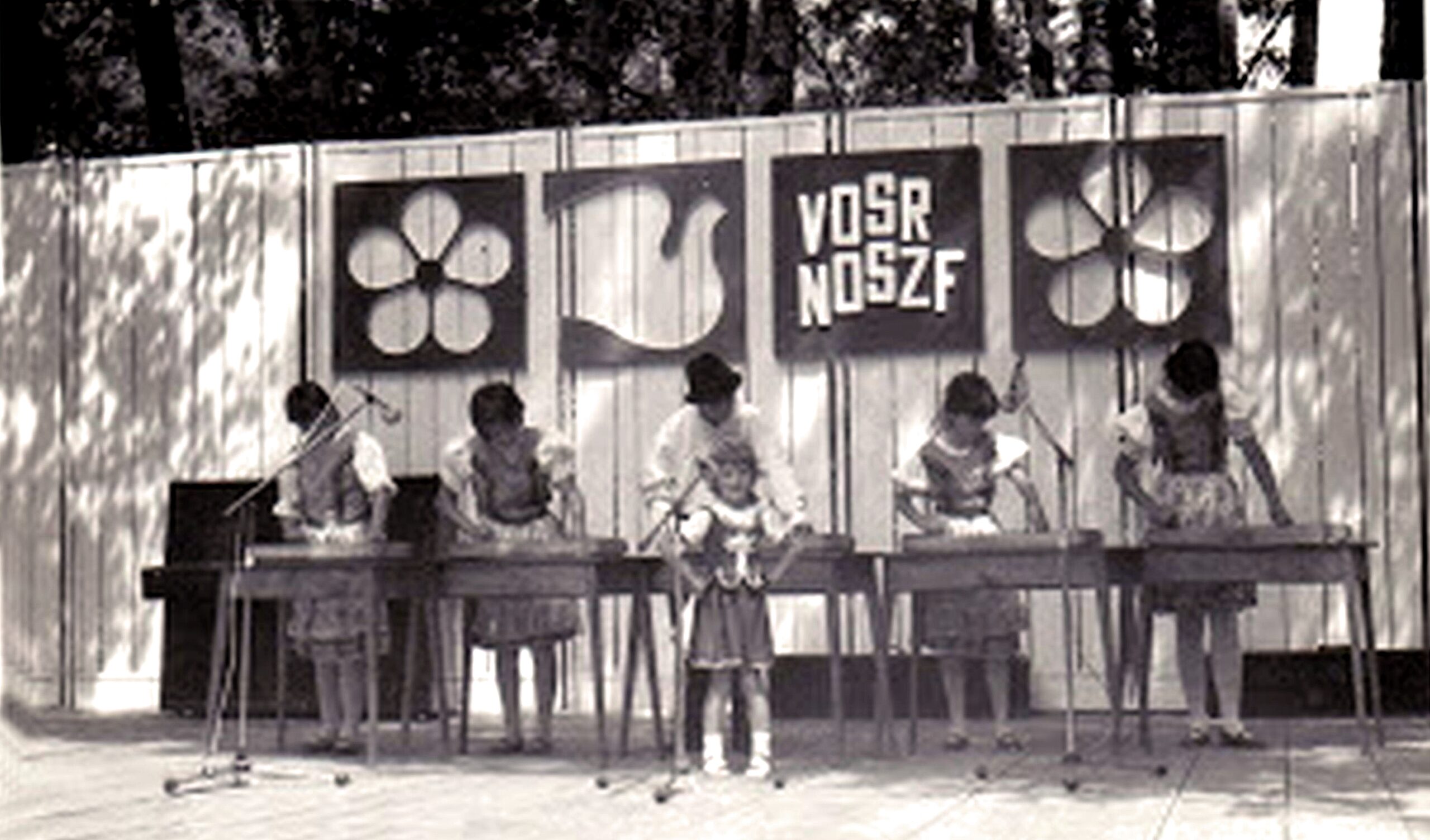 csicso-gyerek-citerazenekar