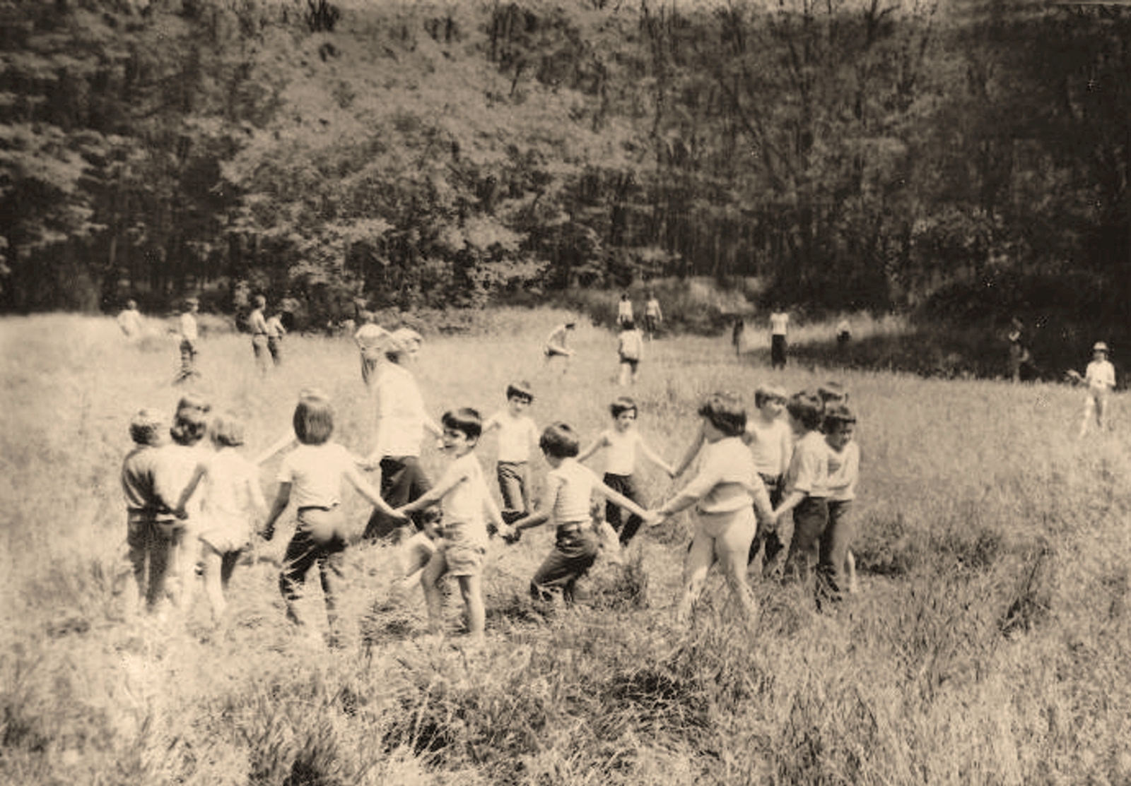 Hetényi iskolások 15.