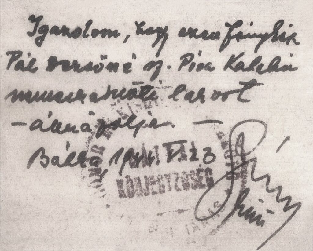 nemesradnot-pal-dezsone-kep-hatulja