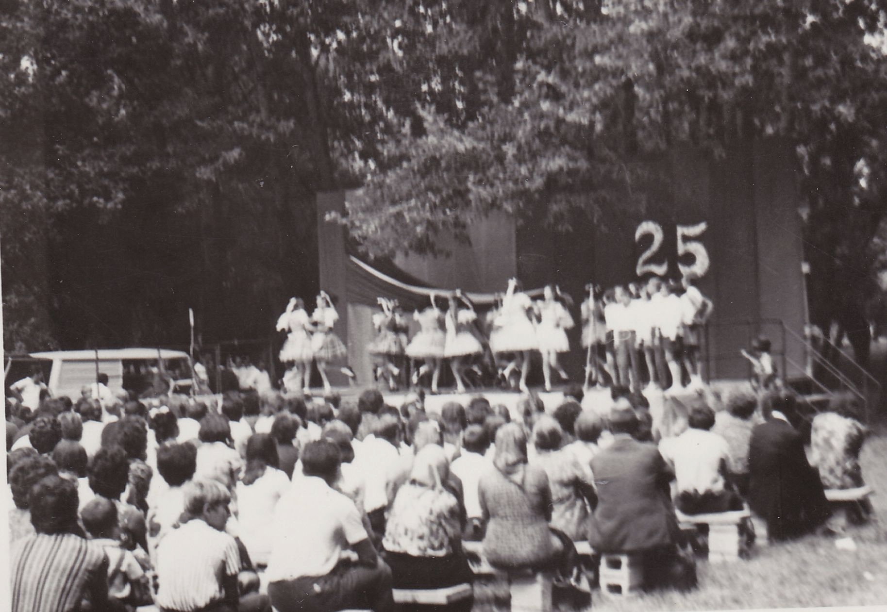 heteny-csemadok_25_Kolozsnema_hetenyiek_fellepese-1