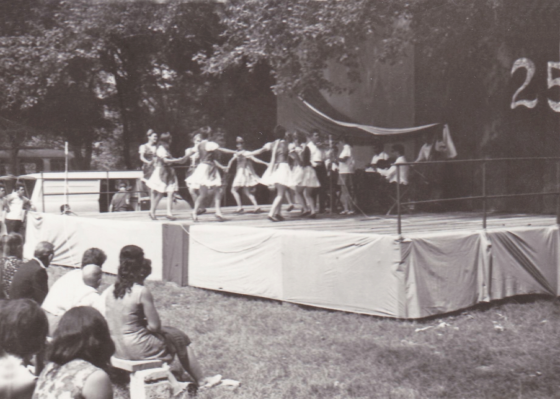 heteny-csemadok_25_Kolozsnema_hetenyiek_fellepese-2