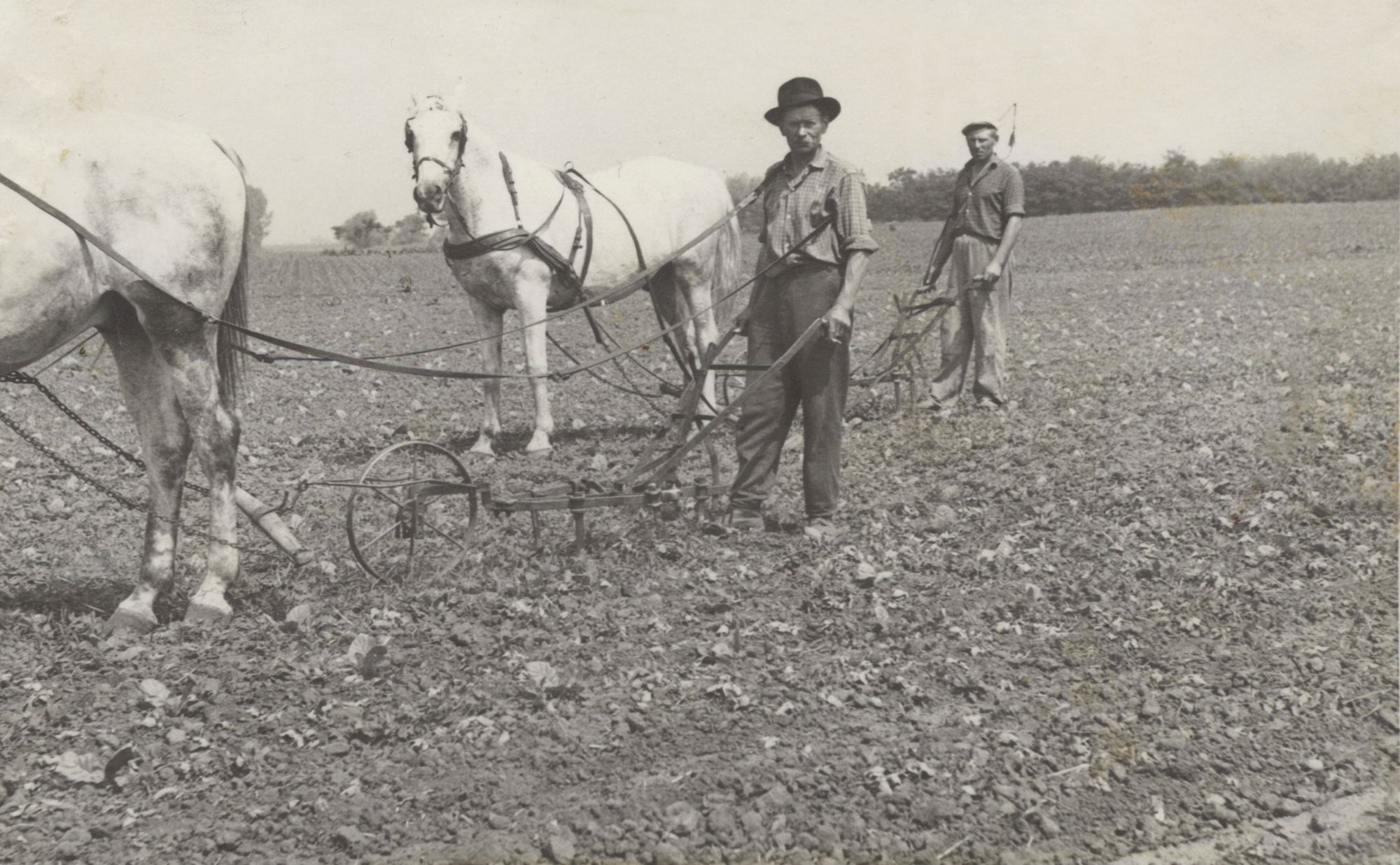 heteny-Dohanymuv_SzaboMikl-SzaboDezs_1960