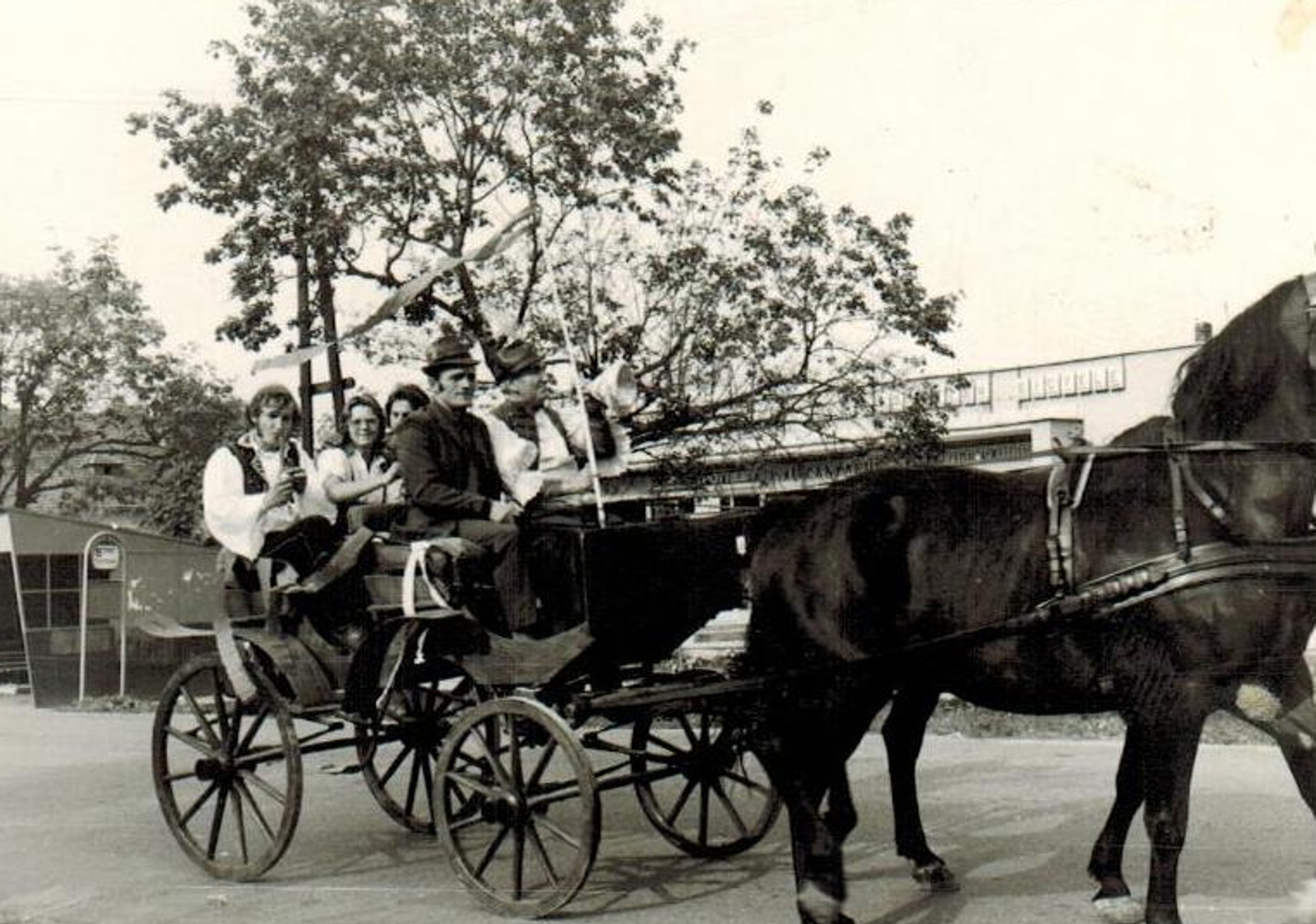 felsoszeli-szureti-hinto