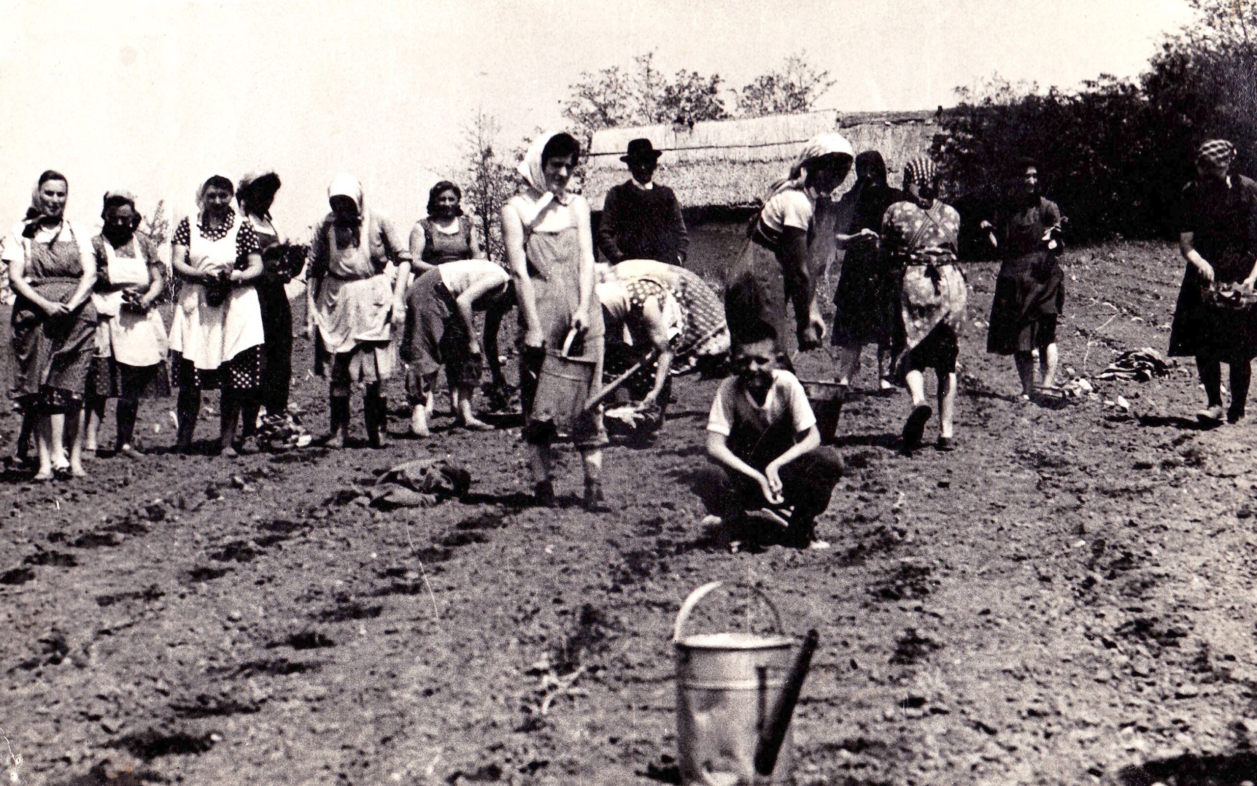 heteny-dohanyultetes