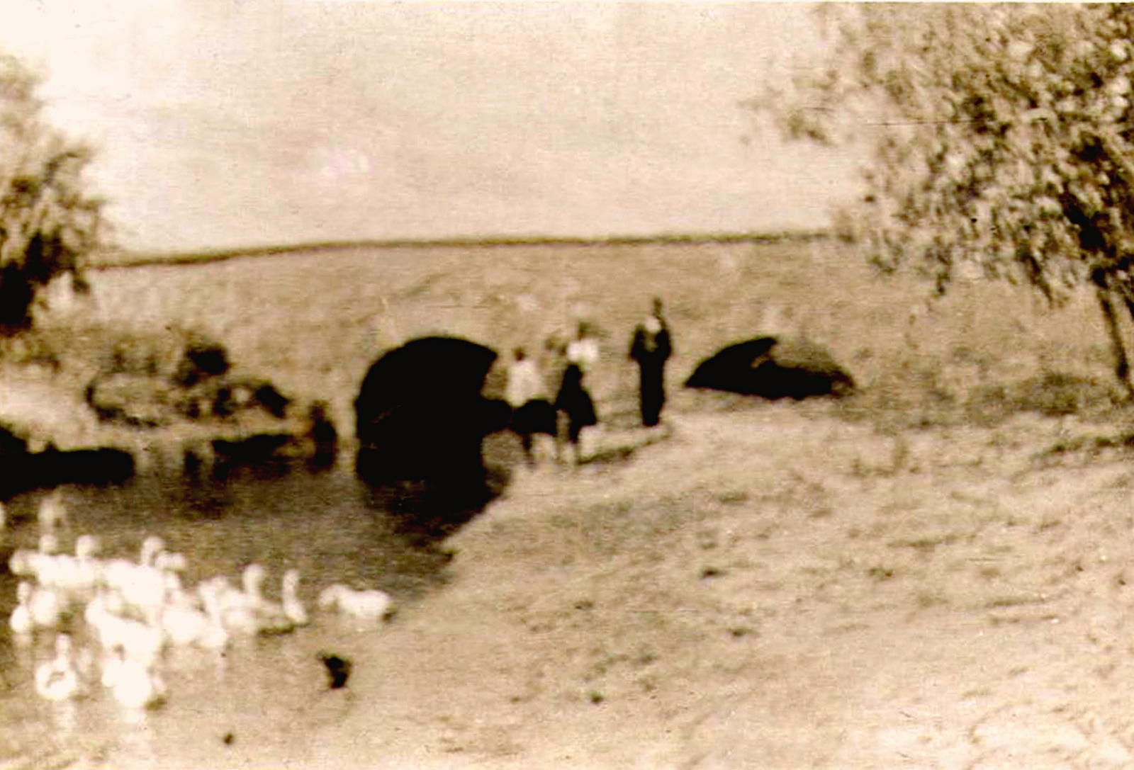 kohidgyarmat-nagy-kohid