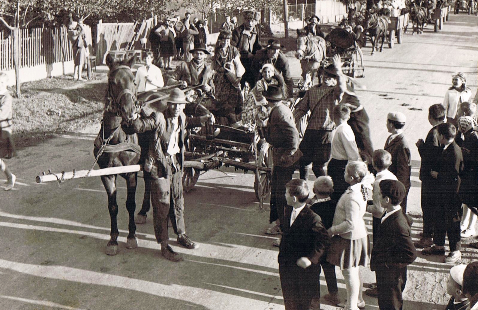 kohidgyarmat-szureti-felvonulas-4