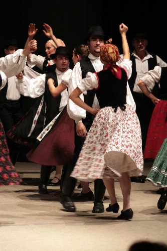 Hatvan év a kultúra szolgálatában