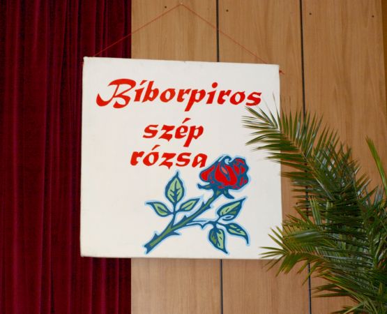 Bíborpiros szép rózsa területi fesztivál, Vízkelet, 2009.06.21.