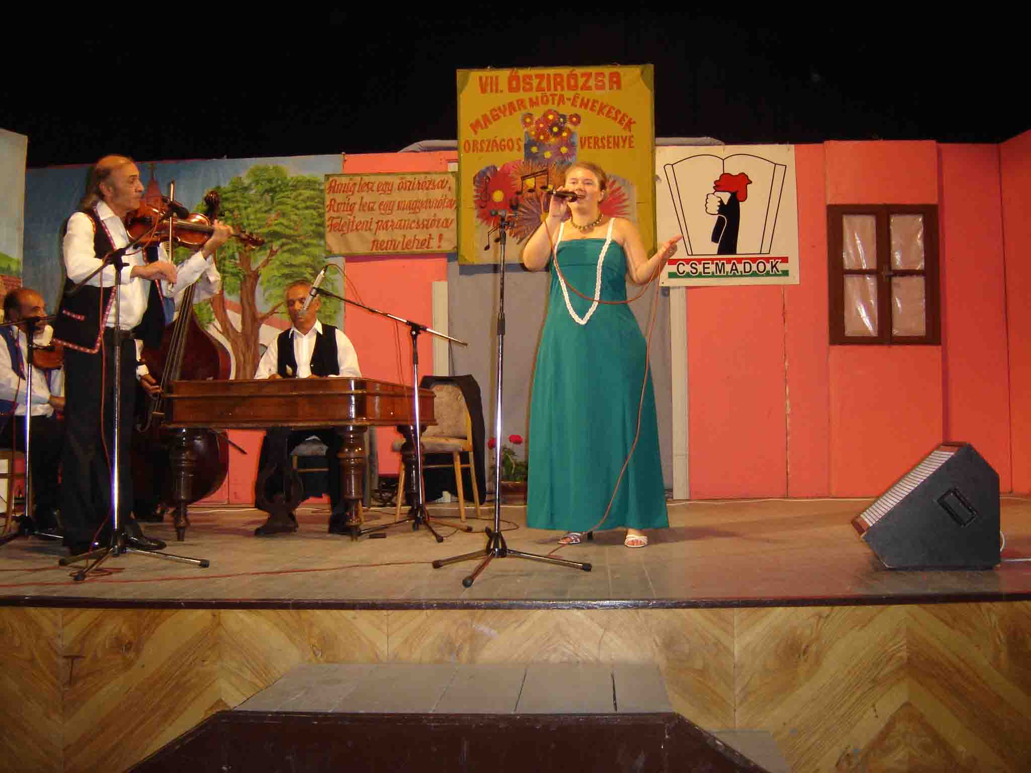 Cseri Ilona (Ipolynyék) – arany minősítés