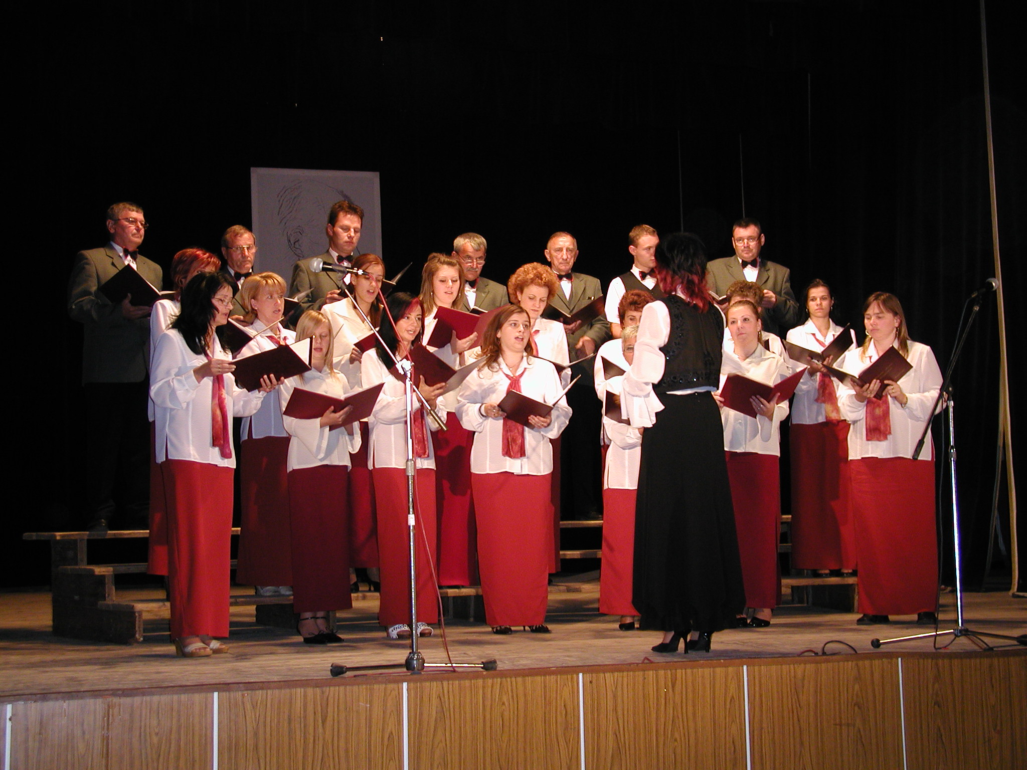 Bárdos Lajos Vegyeskar, Nagymegyer