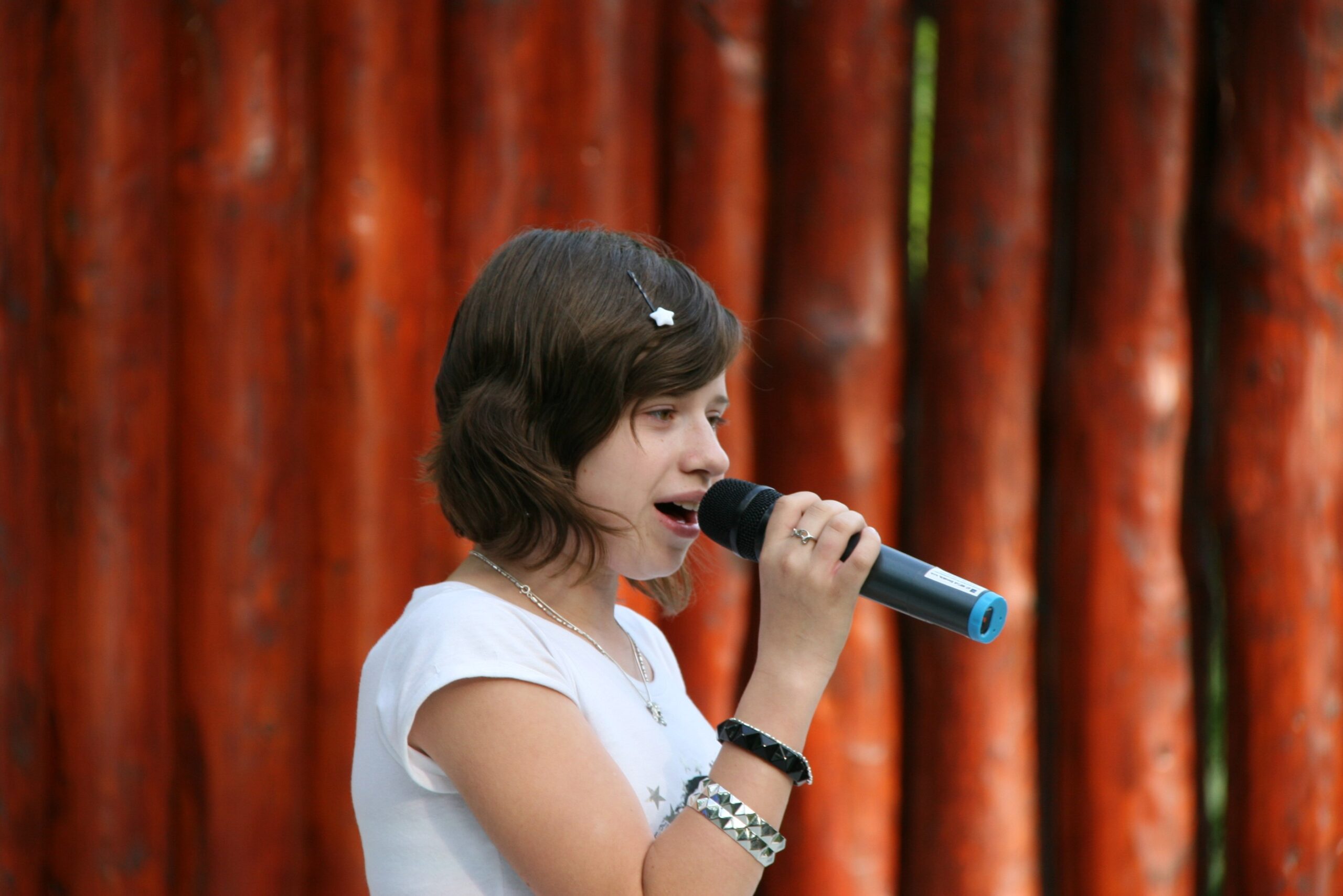 a Csemadok kulturális ünnepélye